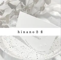 4/24【hinanoさま専用】ニュアンス席札