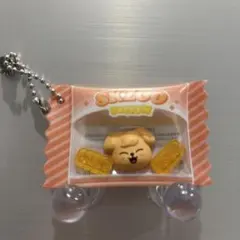 ❤︎SKZOO☆シャカっとチャーム&グミ☆パピーム　新品未開封