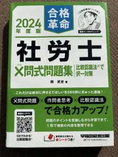 ぴっちゃん　5/6以降の発送になります。様 リクエスト 2点 まとめ商品