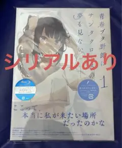 青春ブタ野郎はサンタクロースの夢を見ない 1巻Blu-ray〈完全生産限定版〉