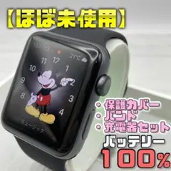 【美品】BT100％ 42mm アップルウォッチ 保護カバー＋バンド＋充電器