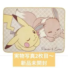 포켓몬 プラチナムザッカfuwa&hugブランケット 피카츄 イーブイ