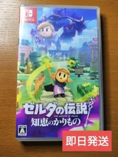 Switch ゼルダの伝説 知恵のかりもの