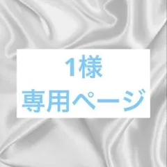 専用ページ