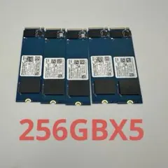 Western Digital PC SN530 NVMe SSD 256GBのサムネイル