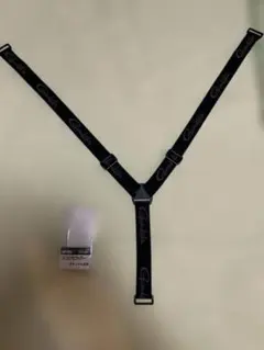 Item thumbnail for item 807189c6-793e-412e-b423-8a2f55486063