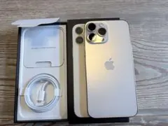 Apple iPhone 13 ProMax256 ゴールド 本体 付属品付き