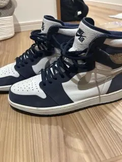 NIKE AIR JORDAN 1 HIGH OG CO.JP(28.0cm)
