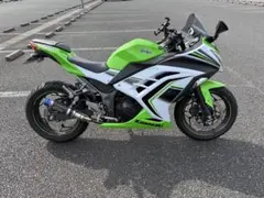 ninja250sl 2020年 インドネシアカラー 写真晴れの日に追加します 