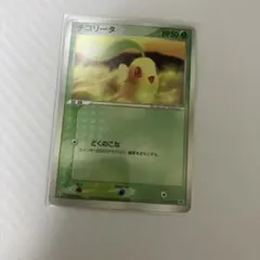 チコリータ PROMO PCG-Pプロモカード 028/PCG-P