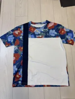 Item thumbnail for item 274e74f1-4c37-4b05-a5db-6a8abbf7c1c0