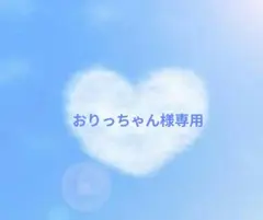 おりっちゃん様専用✧匿名配送・夏のシマエナガ❆お薬ケース❅アクセサリー小物入れ♥