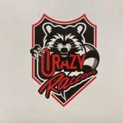 URAZY Raccoon Crazy Raccoon フィギュア