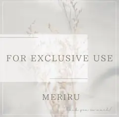 【匿名配送】てんりぃ様専用