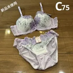 レディース　ブラ　ショーツセット　C75