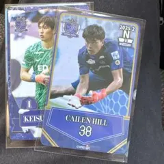 2026年最新】オンサイトカード サンフレッチェ広島の人気アイテム