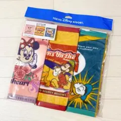 ディズニーリゾート　ミニタオルセット