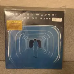 Journey / Scandal – Disco Sampler 国内プロモ Journey / Scandal – Disco Sampler 国内プロモ - メルカリ