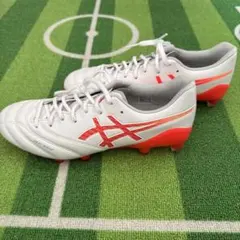 アシックスDS LIGHT X-FLY 6 25.5㎝