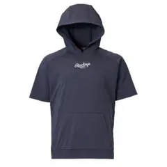 Item thumbnail for item 68195f25-a9a5-4da1-b3aa-412974cbdda5