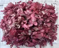 プリザーブドフラワー　ピラミッドアジサイ　20g前後　ワインレッドゴールド