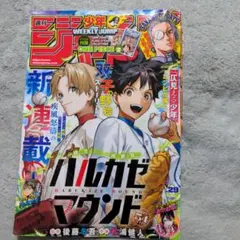 ワンピースシールのみ　匿名配送