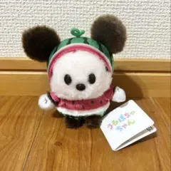 うるぽちゃちゃん　スイカミッキー　夏のサムネイル