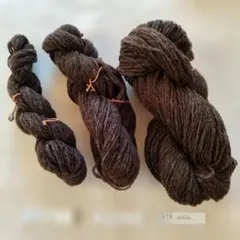 Item thumbnail for item 2a8f654d-7124-4402-88b1-b3599a1c8161