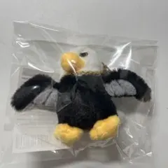 天音様専用ページ