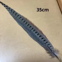 Item thumbnail for item 7317ad2a-6b02-4b8c-b447-7234bf30b2e8