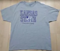 Champion Tシャツ【2XL】グレー ビッグサイズ