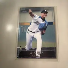 m87125258296_1.jpg?1772284227