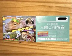 伊豆シャボテン動物公園・伊豆ぐらんぱる公園 入園券