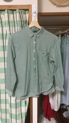 LACOSTE（ラコステ） ジャージニットストライプシャツ （グリーン）