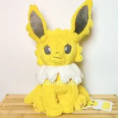 サンダース ふわふわ抱きぬいぐるみ ポケモンセンター 限定 | Doorzo