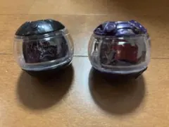 DXライダーカプセムセット05