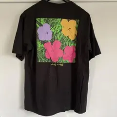 ユニクロ　UT、アンディウォーホル　メンズL