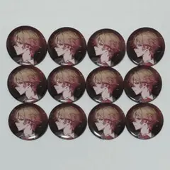 シクフォニ 2ndシングル RAGE特典 ランダム缶バッジ みこと 12個セット