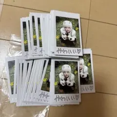 &TEAM ハルアback to life中国一直娱yizhiyuラキドロトレカ - メルカリ