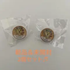 新品激レアRINKU PLEASURE TOWN SEACLE ピンバッジ 2個