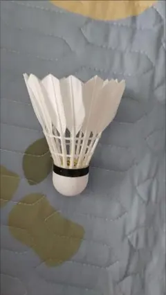 Item thumbnail for item abdb5c37-c484-4fda-b679-c15069fa849a