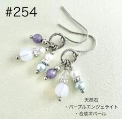 ピアス　254