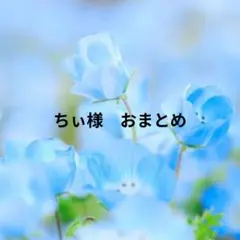 ちぃ様　おまとめ