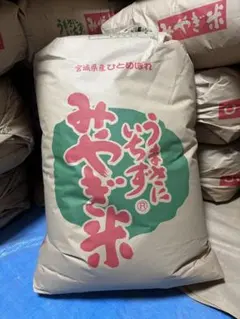 ☆令和7年 ‪新米 ひとめぼれ 20kg 秋田県産 産地直送☆ - メルカリ‬