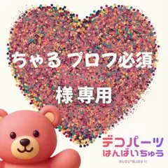 ちゃるプロフ必須様　専用ページ