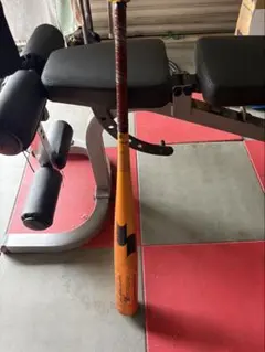 Item thumbnail for item af240447-3e5f-4ec0-ac33-18a548b36291