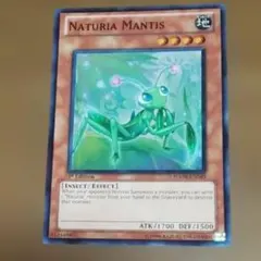 2026年最新】カード種別：モンスターカード 遊戯王OCG デュエル