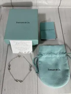 【現行品】 TIFFANY & CO. インフィニティ エンドレスブレスレット