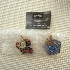 ハリー・ポッター ダイキャストダブルチャームコレクション　２個セット