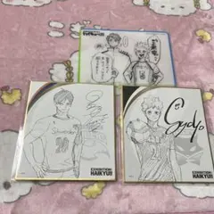 色紙コレクション２ 日向翔陽 影山飛雄 ハイキュー展 入場特典 星海＆佐久早